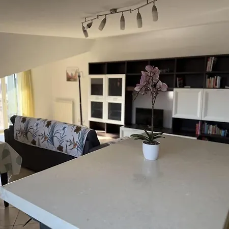 Apartment Premium Sofy & Bea - 25 Minuti Da Roma Centro *